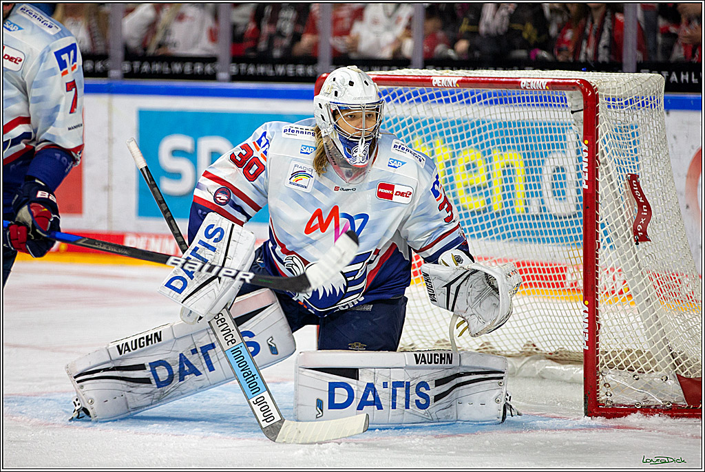 PENNY DEL; Koelner Haie- Adler Mannheim; Koeln, 04.11.2022